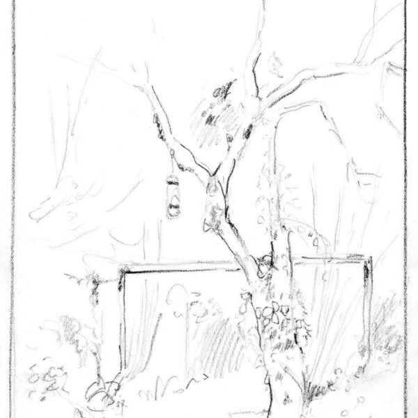 Alter Pfirsisch 15.April 2022, Bleistift auf Papier, 21x30cm