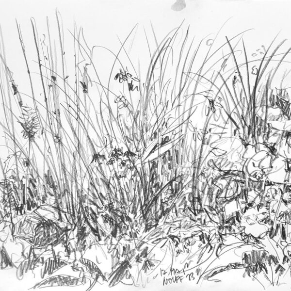 Am Gartenteich 17. Mai, Bleistift auf Papier, 30x40cm
