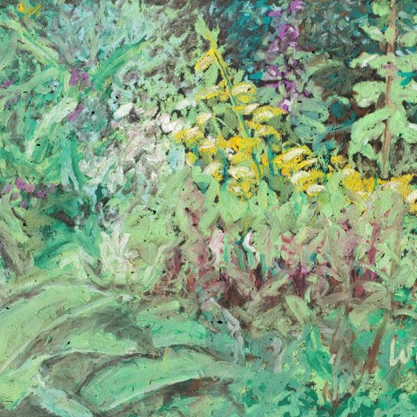 Beim Gemüsegarten 19. Juli 2024, Ölpastell ca 22x30cm
