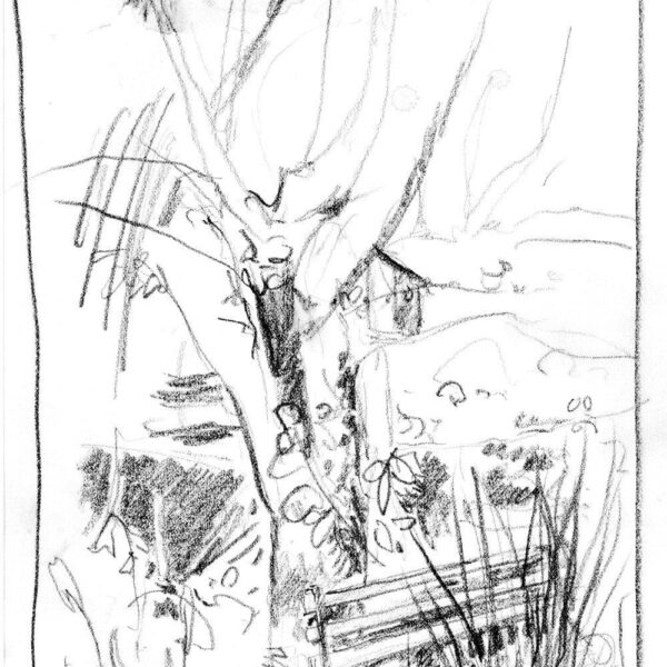 Die Bank beim Teich 20.April 2022, Bleistift auf Papier, 21x30cm
