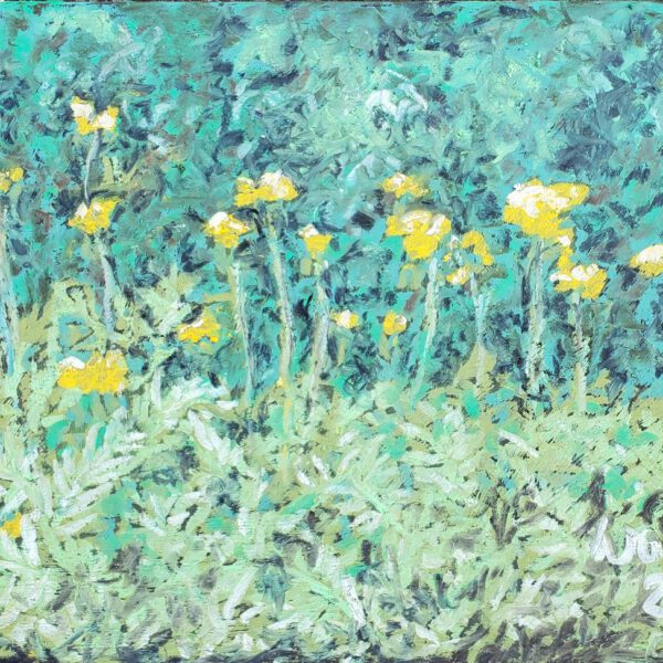 Gelbe Schafgarbe 15. Juli 2024, Ölpastell ca. 20x30cm