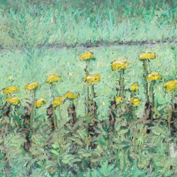 Gelbe Schafgarbe am Zaun 18. Juli 2024, Ölpastell ca. 20x30cm