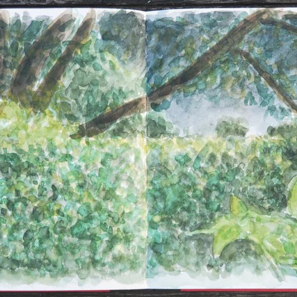 Hecke 26. Juli 2023, Aquarell im Skizzenbuch
