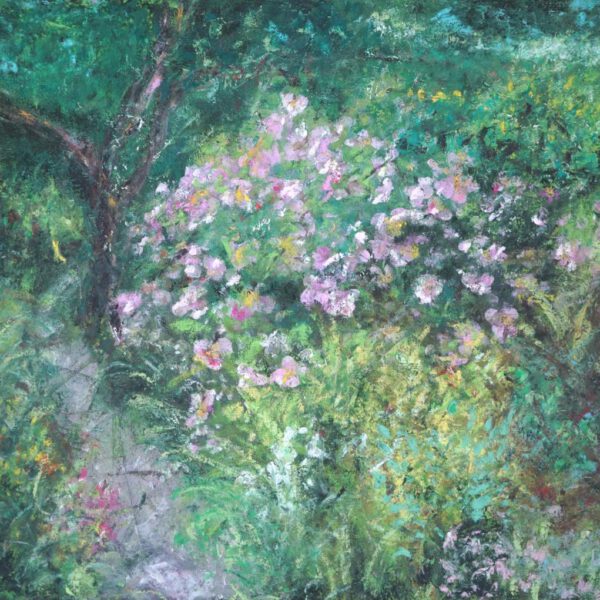 Herbstanemonen Oktober 2024, Öl und Ölpastell auf Malgrund 50x70cm