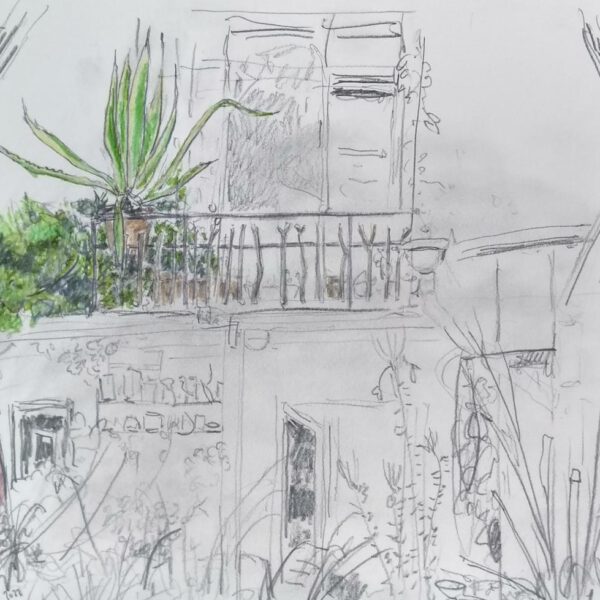 Hinterm Haus 29.Juli 2022, Farbstift auf Papier, 30x42cm