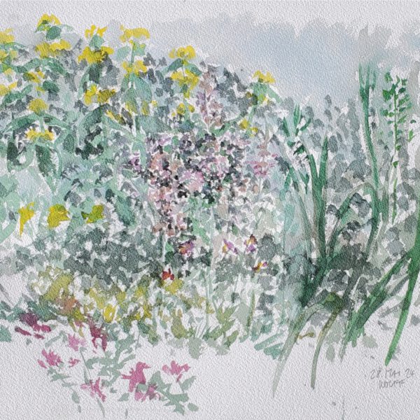 Hügelbeet 28. Mai, Aquarell ca. 30x40cm