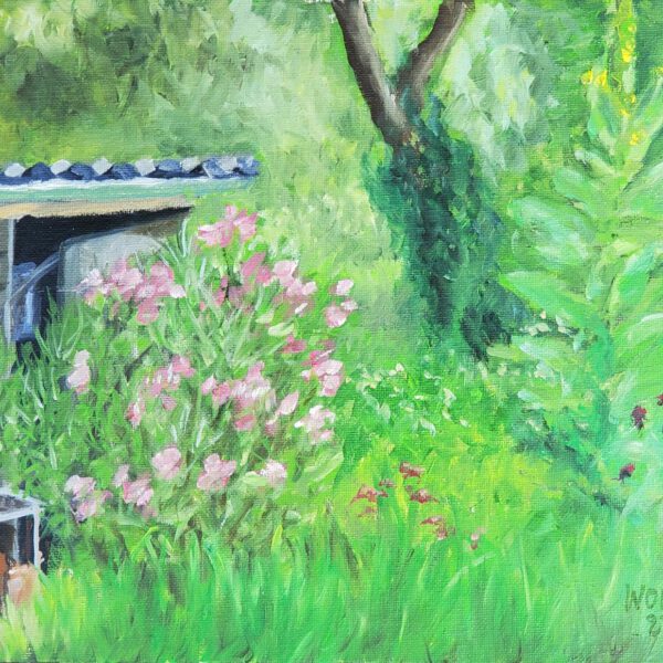 Oleander am Schuppen Juli 2023