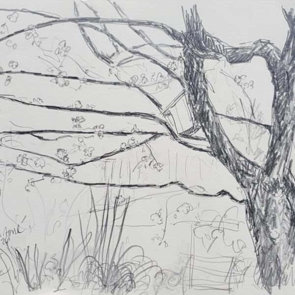 Ontario 13. April 2024, Bleistift auf Papier 40x60cm