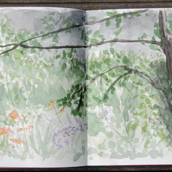 Ontario 17. Juli 2023, Aquarell im Skizzenbuch