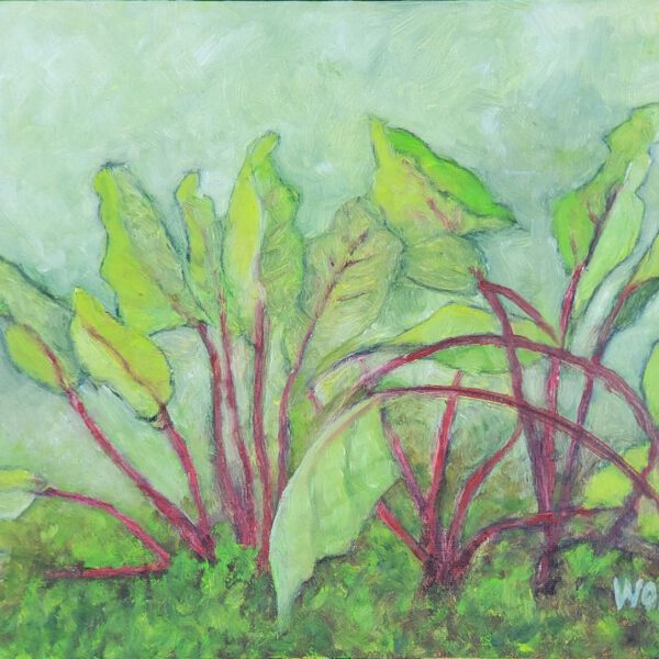 Rote Beete 6. September 2023, Öl auf Malgrund 30x40cm