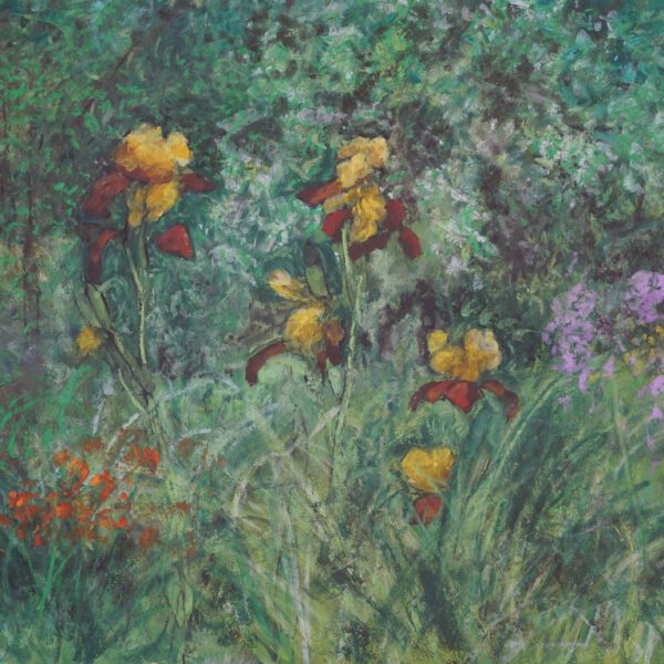 Jojo Wolff: Schwertlilien, Acryl und Ölpastell, Juni bis Dezember 2024, 50x70cm