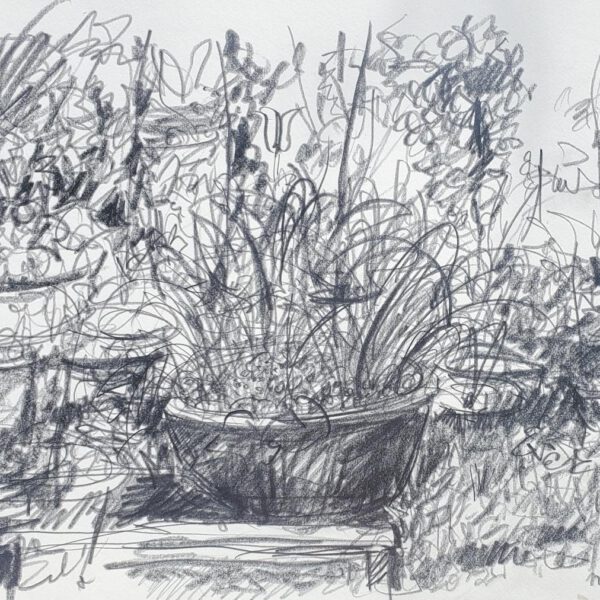 Terrasse 13. April 2024, Bleistift auf Papier, 40x60cm