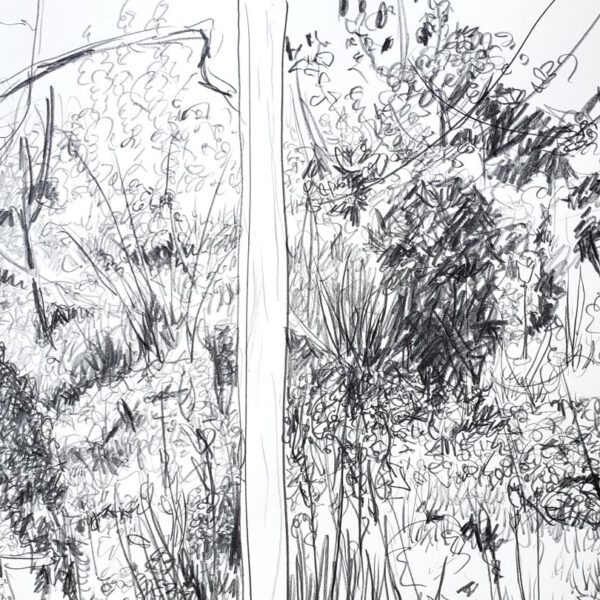 Terrasse Abends, 07. Mai 2023, Bleistift ca. 40x60cm