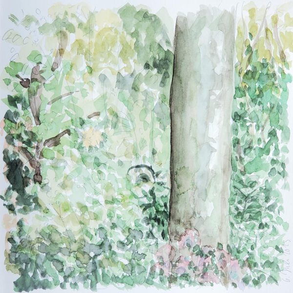 Unter der Mehlbeere 6. Juli 2023, Aquarell aus dem Skizzenbuch