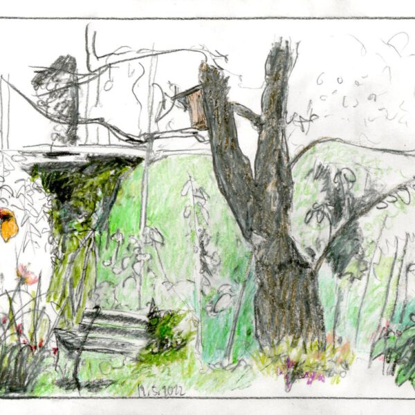 Unterm Ontario 19.Mai 2022 Farbstift auf Papier, 21x30cm