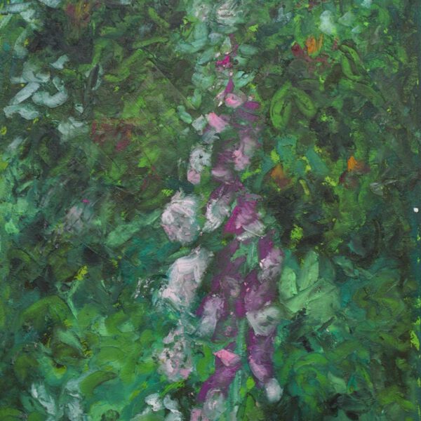 Jojo Wolff 2025: 02. Juni Fingerhut; Ölpastell 12x18cm
