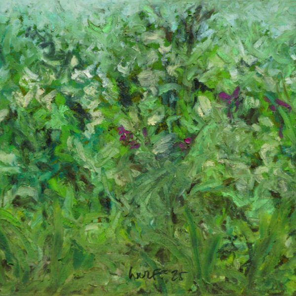 Jojo Wolff 2025: Gemüsebeet 14. Juni, Ölpastell 15x21cm