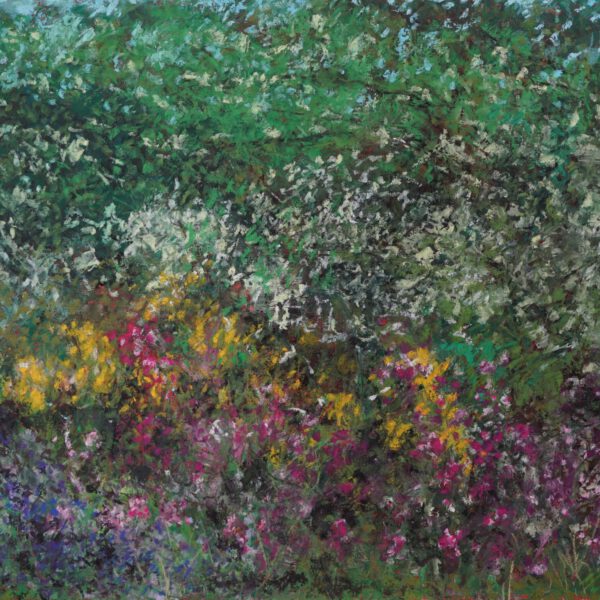 Jojo Wolff 2026: Garten Anfang Juli 2026, Ölpastell 50x70cm